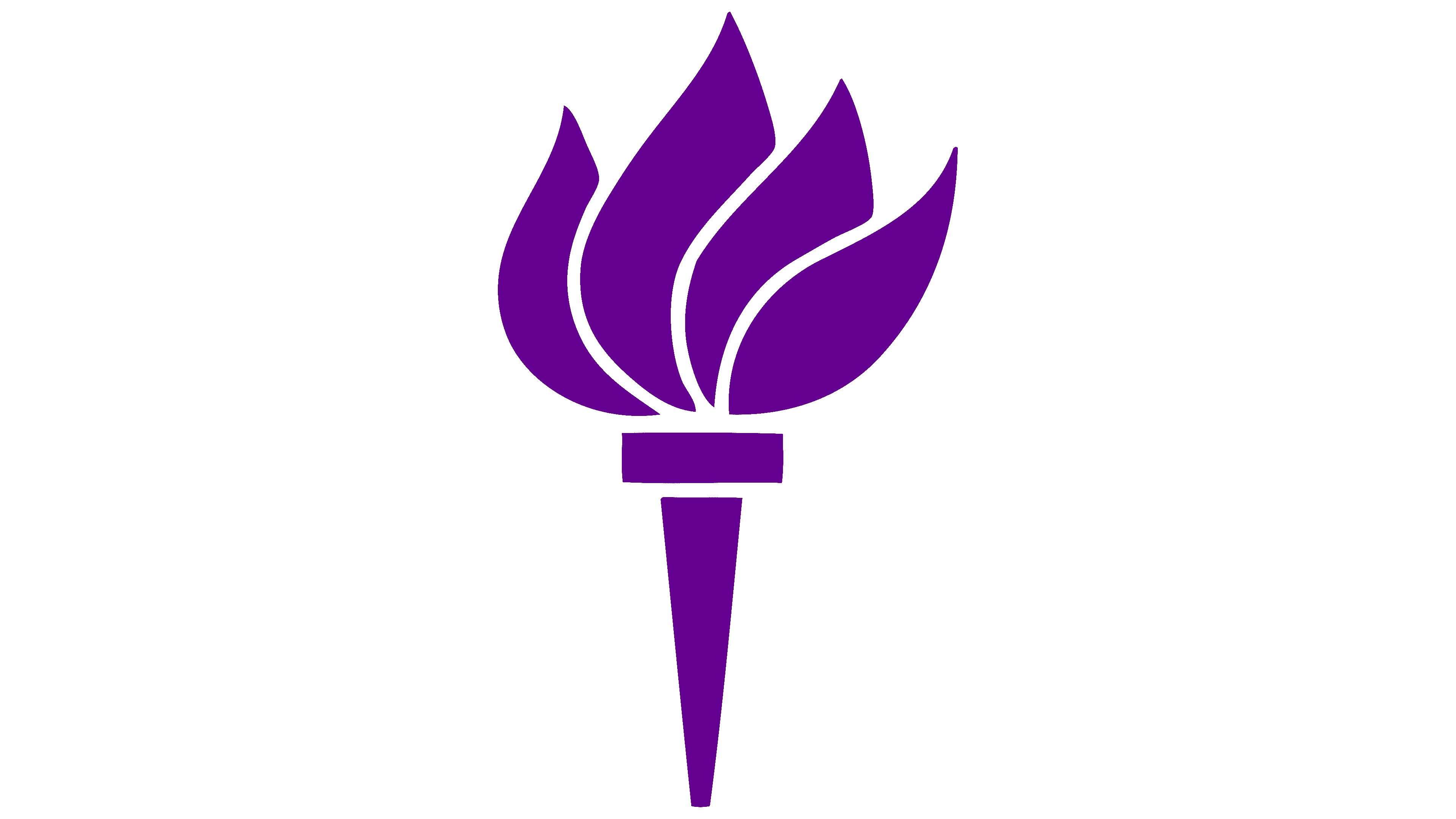 New York University