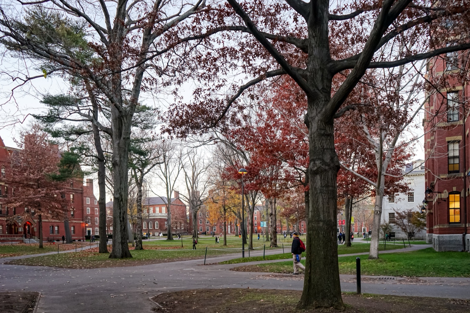 Community College to Ivy League: A Realistic Transfer Guide